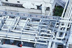 餅つきの文化は絶やしたく無いと思いませんか