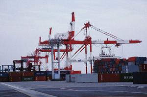 美しいファインフォイルを用いた釣具